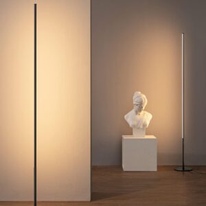 EDISHINE 2 Pack Modern LED Floor Lamp