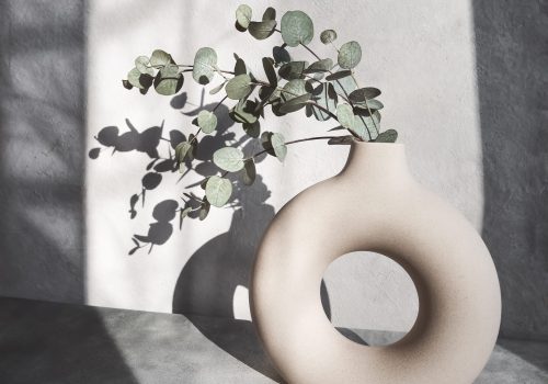Eucalyptus branch in a stylish round vase. Shadows on the wall. Interior decoration concept. Copy space
